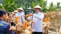 Setahun Kerja Nyata, Kemenimipas Torehkan Capaian Emas dalam Mendukung Ketahanan Pangan Nasional