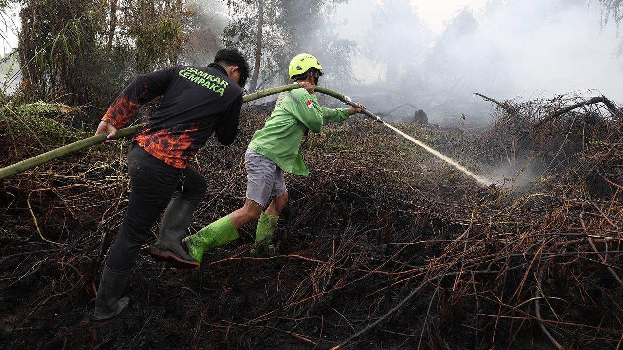 Karhutla Meluas di Sejumlah Wilayah Indonesia