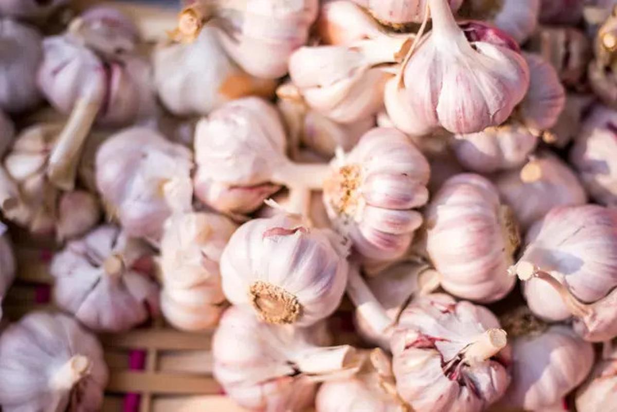 5 Bumbu Dapur yang Bisa Jadi Obat Alami untuk Berbagai Gejala Awal Sakit Tanpa Harus ke Dokter