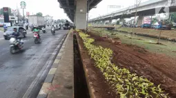 Pengendara melintas dekat lahan yang dibuat menjadi kawasan hijau di bawah kolong Tol Becakayu atau Bekasi-Cawang-Kampung Melayu, Jakarta, Kamis (5/1/2023). Perlu diketahui, progres penghijauan di area kolong Tol Becakayu telah dilakukan sepanjang 2,7 kilometer dari total yang akan dihijaukan 5 kilometer. (Liputan6.com/Herman Zakharia)