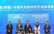 Fakta Unik: Indonesia dan Xinjiang China Perkuat Kerja Sama Ekonomi, Fokus Halal dan Energi