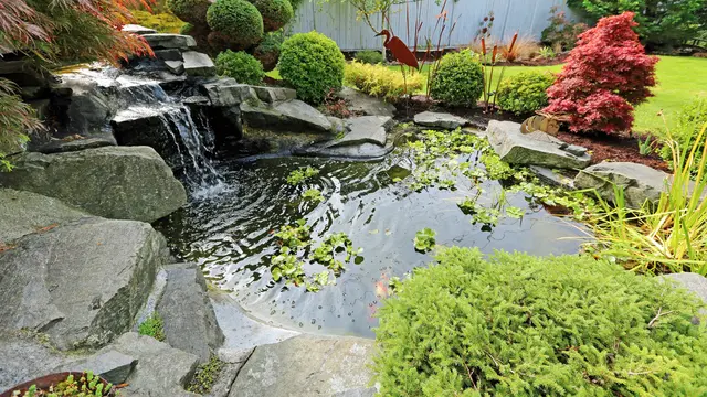 Ide Taman Depan Rumah Minimalis yang Bikin Suasana Asri dan Nyaman