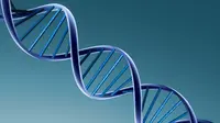 Tahapan Identifikasi DNA Forensik