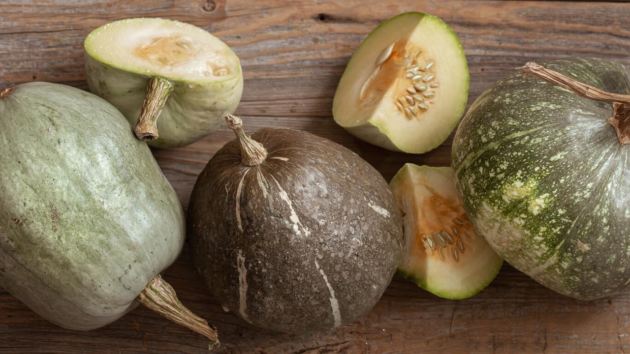 Timun Suri, Blewah, dan Melon