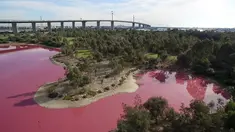 Sebuah danau di Melbourne, Australia telah berubah warna menjadi pink pada foto yang dirilis pada 9 Maret 2017. Perubahan warna danau tersebut dikarenakan tingginya suhu dan rendahnya curah hujan datang ke kawasan sana. (HANDOUT/PARKS VICTORIA/AFP)