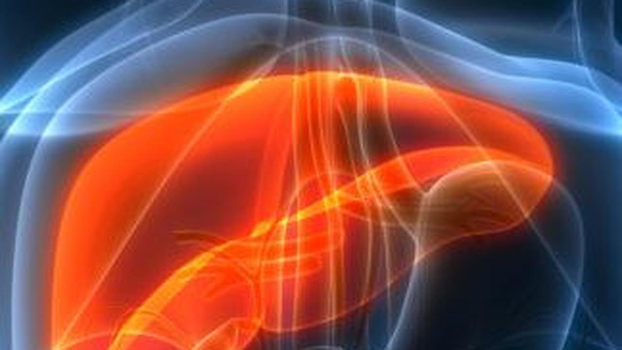 <b>Cara Mencegah Hepatitis</b>