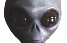 Tengkorak Kuno Berusia 1608 Tahun Ditemukan di Krosia, Bentuknya Mirip Kepala Alien