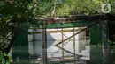 Sekitar tahun 1990-2000 an, persawahan di Dusun Rejosari Senik mulai berubah secara perlahan menjadi tambak ikan. (merdeka.com/Arie Basuki)