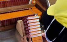Industri Tembakau Alami Tekanan di Kuartal I-2025, Produsen Rokok Harap Cukai Tak Naik