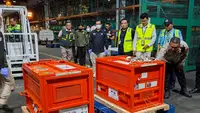 4 Orangutan Korban Perdagangan Ilegal di Thailand Pulang ke Indonesia