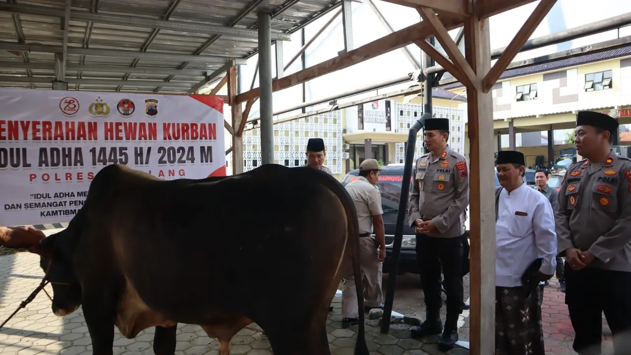 Sapi dan kambing Polres Pemalang didistribusikan ke masjid. (Foto: Liputan6.com/Polres Pemalang)