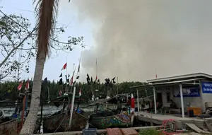Asap Kebakaran TNWK makin Tebal, Ranting Gosong Serbu Permukiman
