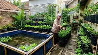 9 Ide Kolam Ikan dan Kebun Sayur dalam Satu Area Sempit, Ciptakan Halaman Produktif
