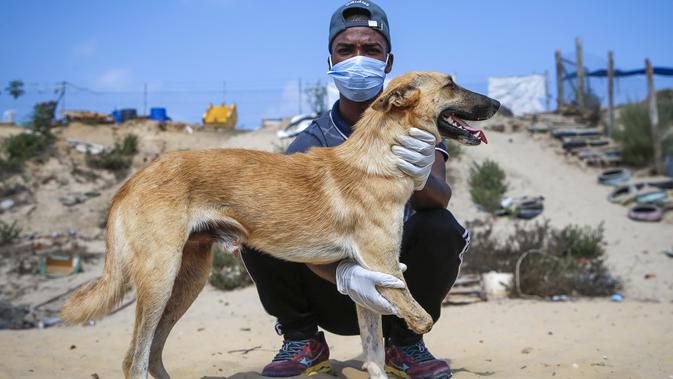 Relawan Palestina di Sula Society for Animal Care Saeed al-Err berfoto bersama Billy, seekor anjing yang diamputasi yang menjalani rehabilitasi di asosiasi penampungan  di Kota Gaza (9/9/2020). (AFP Photo/Mohammed Abed)