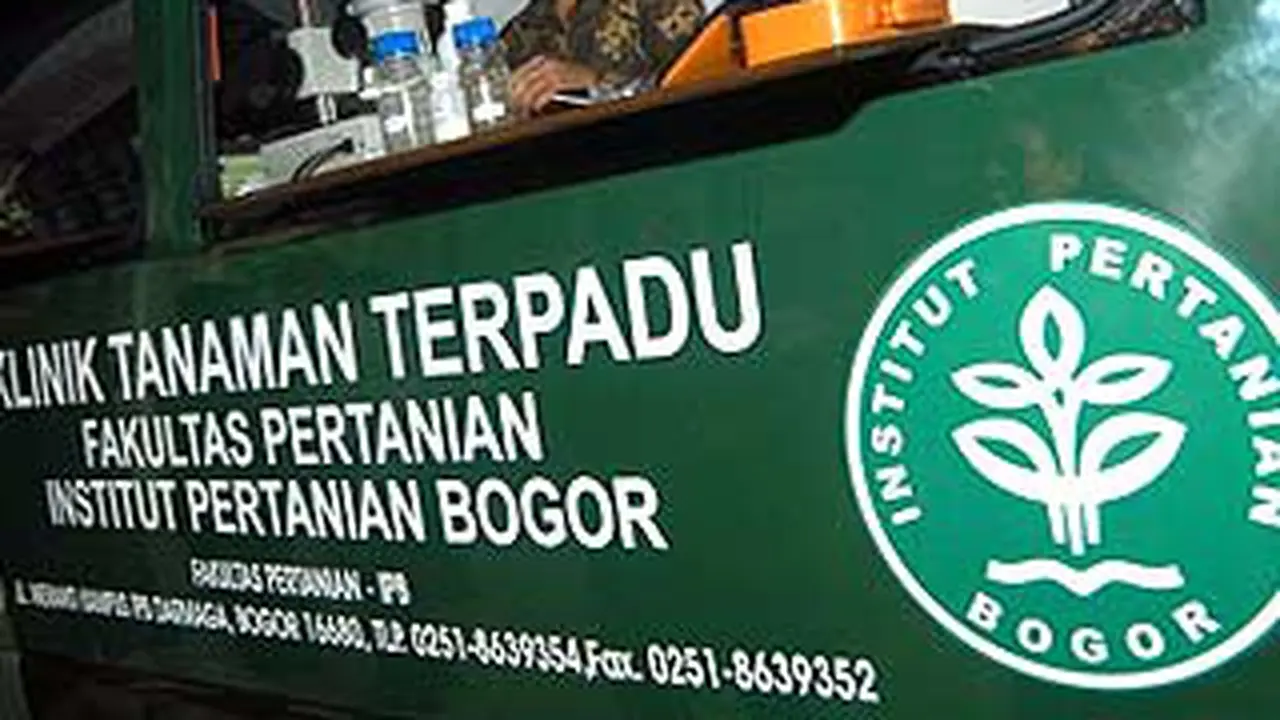 liputan6