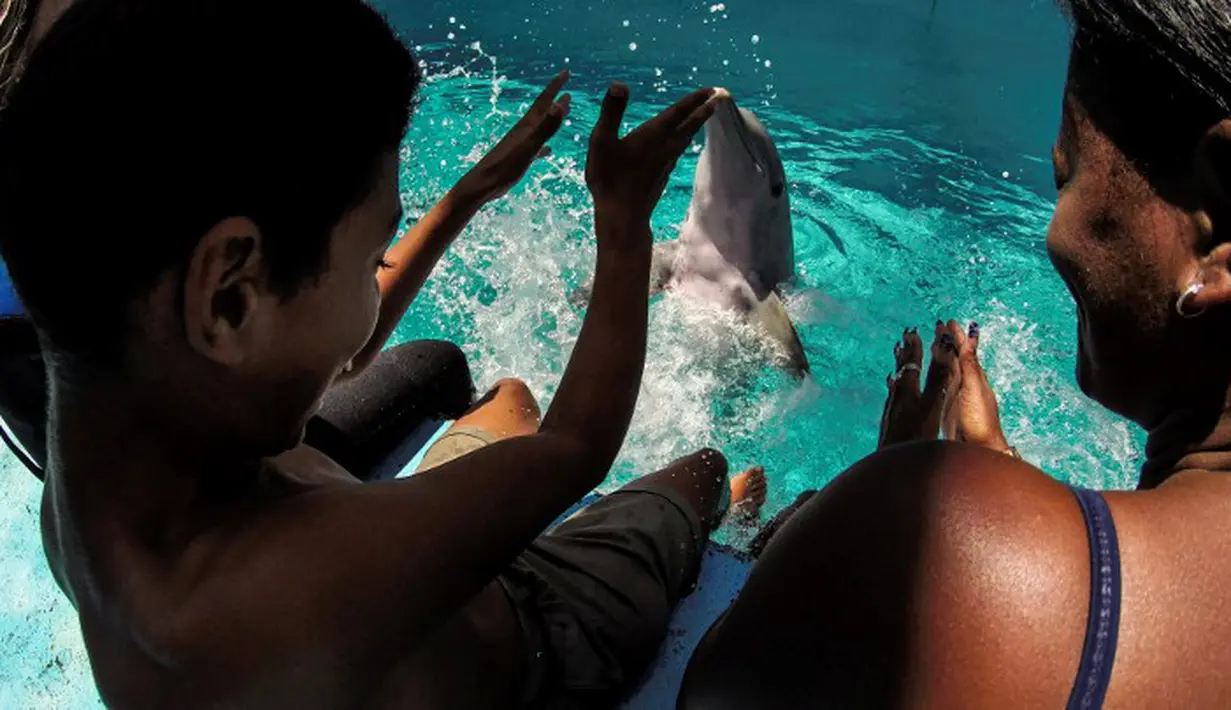 Dalam proses terapi di National Aquarium, Kuba, seorang pasien diajak bermain dengan seekor lumba-lumba, melibatkan seorang terapis dan pelatih hewan mamalia ini, Senin (26/5/14). (AFP PHOTO/Adalberto ROQUE)