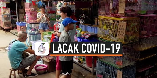 VIDEO: Melacak Asal Covid-19, dari Laboratorium atau Pasar Hewan?