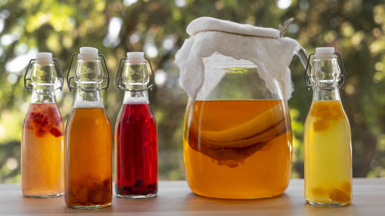 Ilustrasi Kombucha