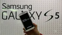 Galaxy S5 (mashable.com)