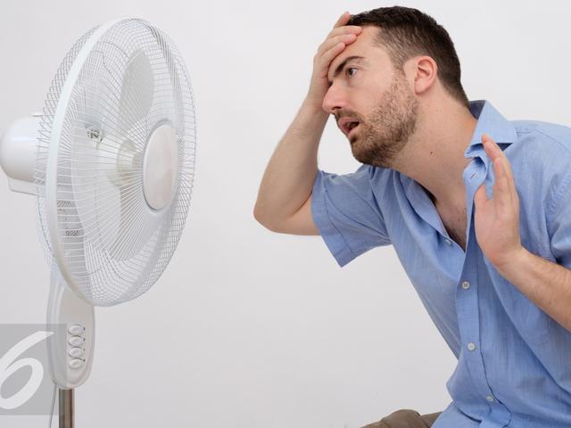 Tips Rumah Sejuk Di Musim Panas