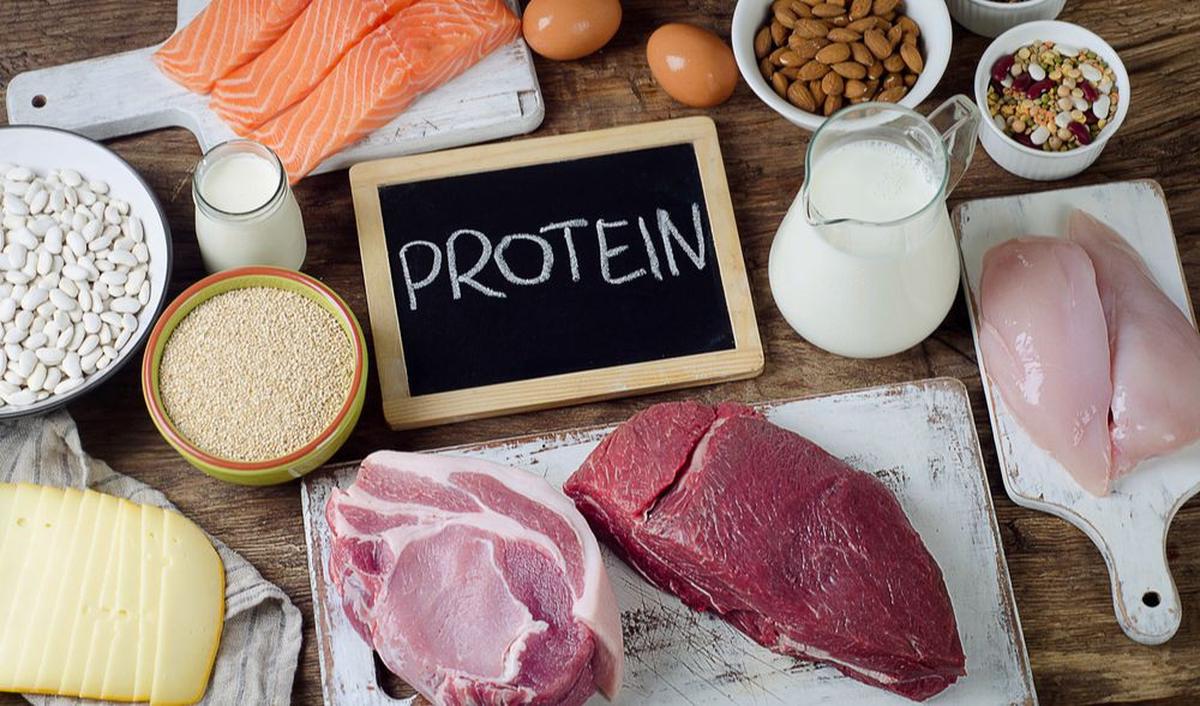 2. Penuhi Asupan Protein&nbsp;<br>