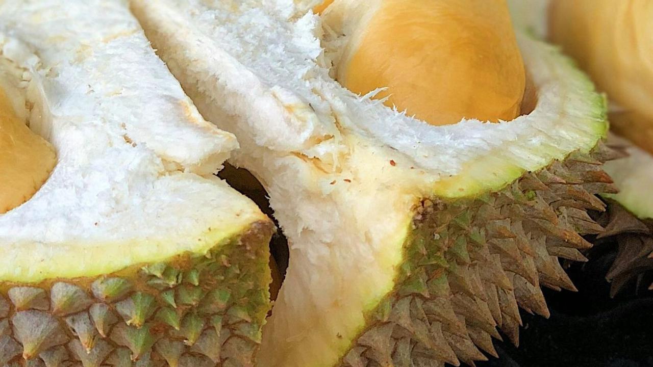 Manfaat Durian untuk Ibu Hamil