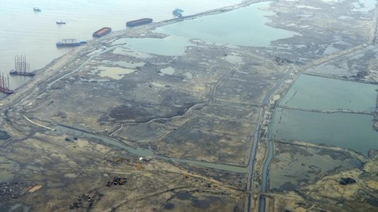 Ahok klaim reklamasi pulau bisa ciptakan habitat baru bagi hewan