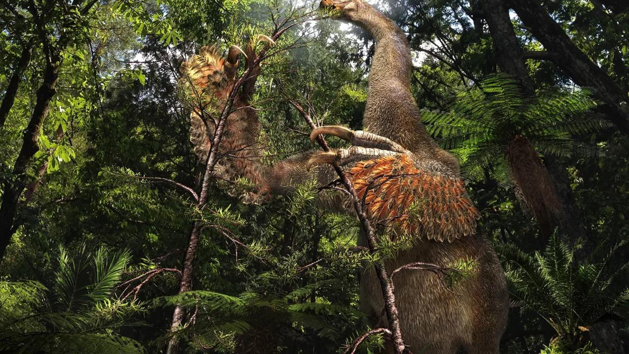 Duonychus Tsogtbaatari