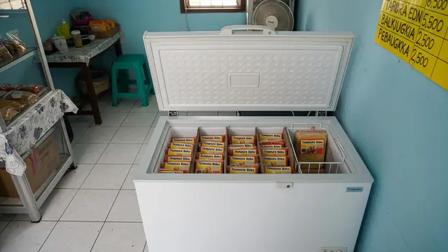 Menyimpan Tempura Beku di Freezer Portable