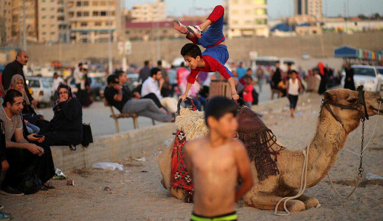 Mohammed al Sheikh ketika meliukkan tubuhnya di atas unta di sebuah pantai Kota Gaza, Palestina, Kamis (2/6). Dengan tinggi badan 1,6 meter dan berat mencapai 29 kg, Mohammed mampu menekukan tubuhnya dengan berbagai posisi. (REUTERS/Mohammed Salem)