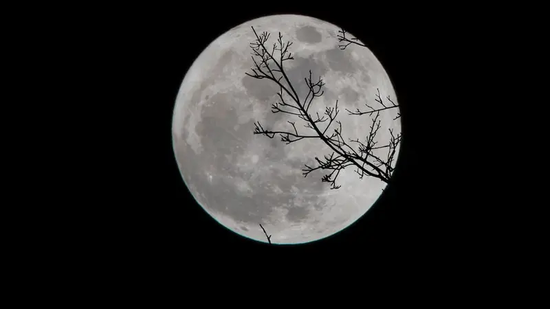 Arti Mimpi Melihat Bulan yang Tidak Terduga