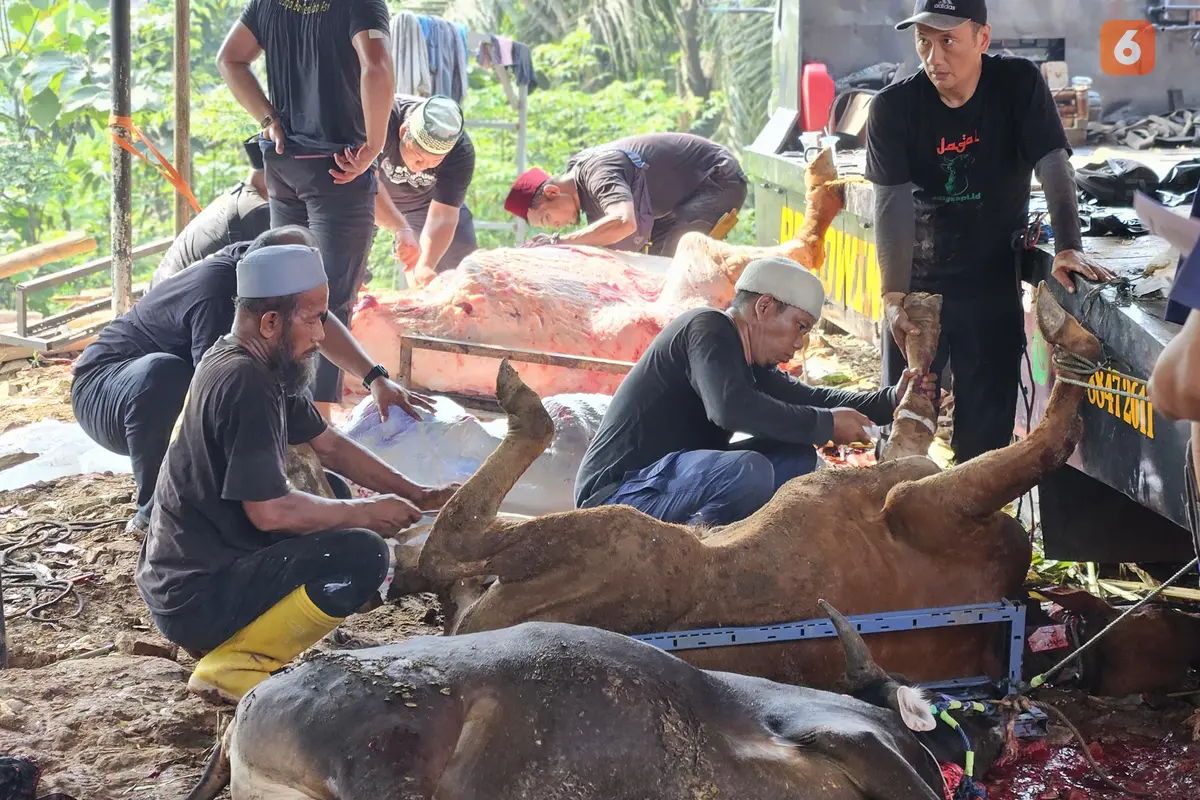Pemotongan Daging Kurban di Hari Raya Idul Adha 2025 (Foto: Aditya Eka Prawira/Liputan6.com)