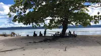 Keberadaan pohon yang rindang sering dimanfaatkan untuk berteduh dari sengatan matahari Arborek yang panas. (foto : Liputan6.com / katharina janur)