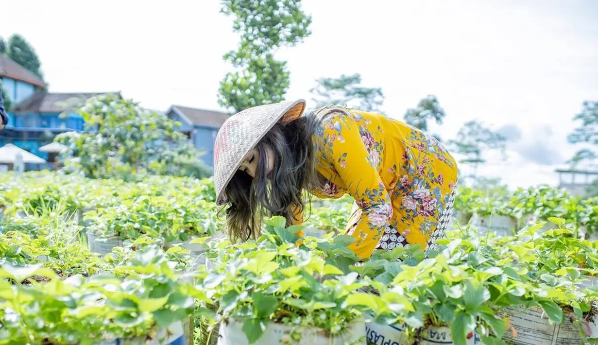 Tampil dengan busana khas Jawa, penampilan Nafa dengan kebaya kuning ini menuai banyak perhatian. Meski tengah berada di kebun dengan memakai caping, penampilan dari wanita yang sudah berusia 42 tahun ini tetap menawan. (Liputan6.com/Instagram/nafaurbach)
