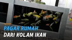 Kolam ikan dijadikan pagar rumah jadi suatu yang baru dan menjadi tren saat ini.