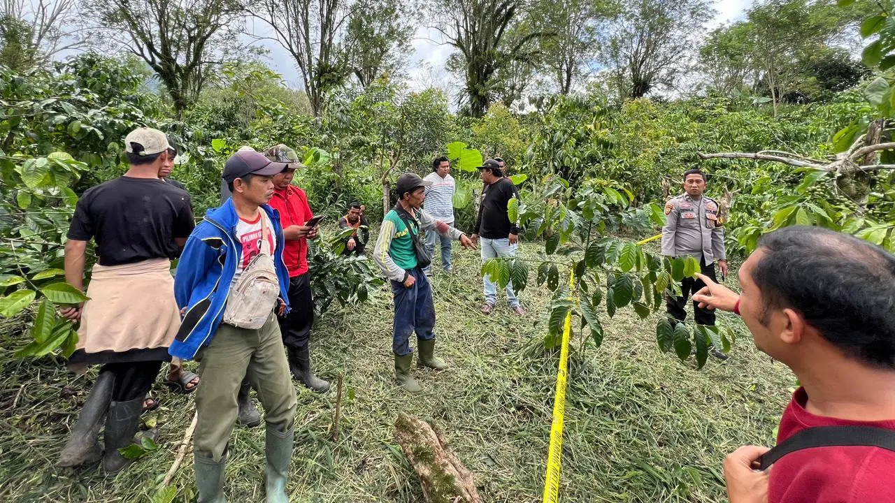 Polisi olah TKP penemuan jasad pemuda di kebun kopi dengan kondisi leher nyaris putus di Lampung Barat