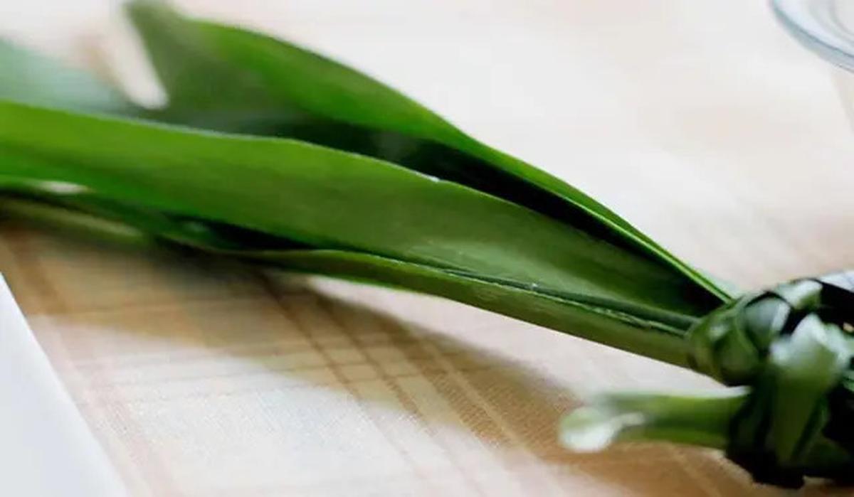 Manfaat Daun Pandan untuk Kesehatan yang Menarik Diketahui, Tingkatkan Imunitas Tubuh