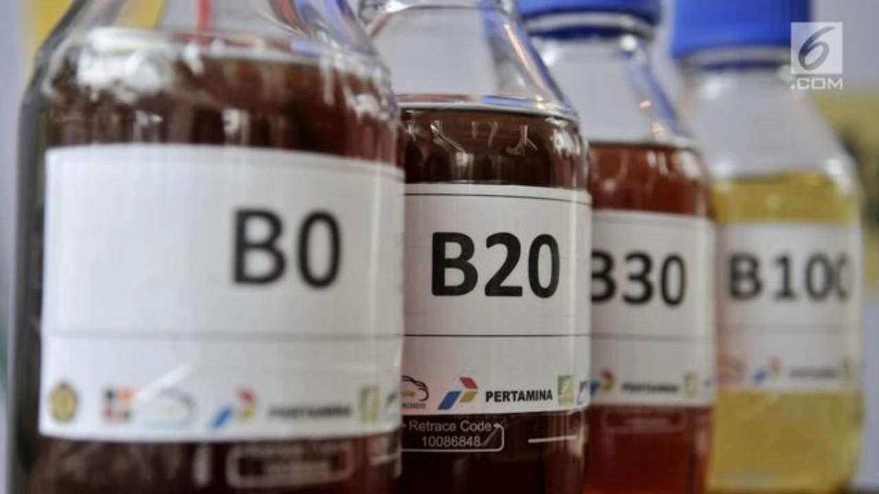 Pemerintah Target B50 Bisa Hemat Devisa Rp139,8 Triliun di 2026