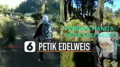 Pendaki gunung lagi-lagi melakukan hal yang tidak semestinya dilakukan. Yaitu memetik dan membawa bunga edelweis.