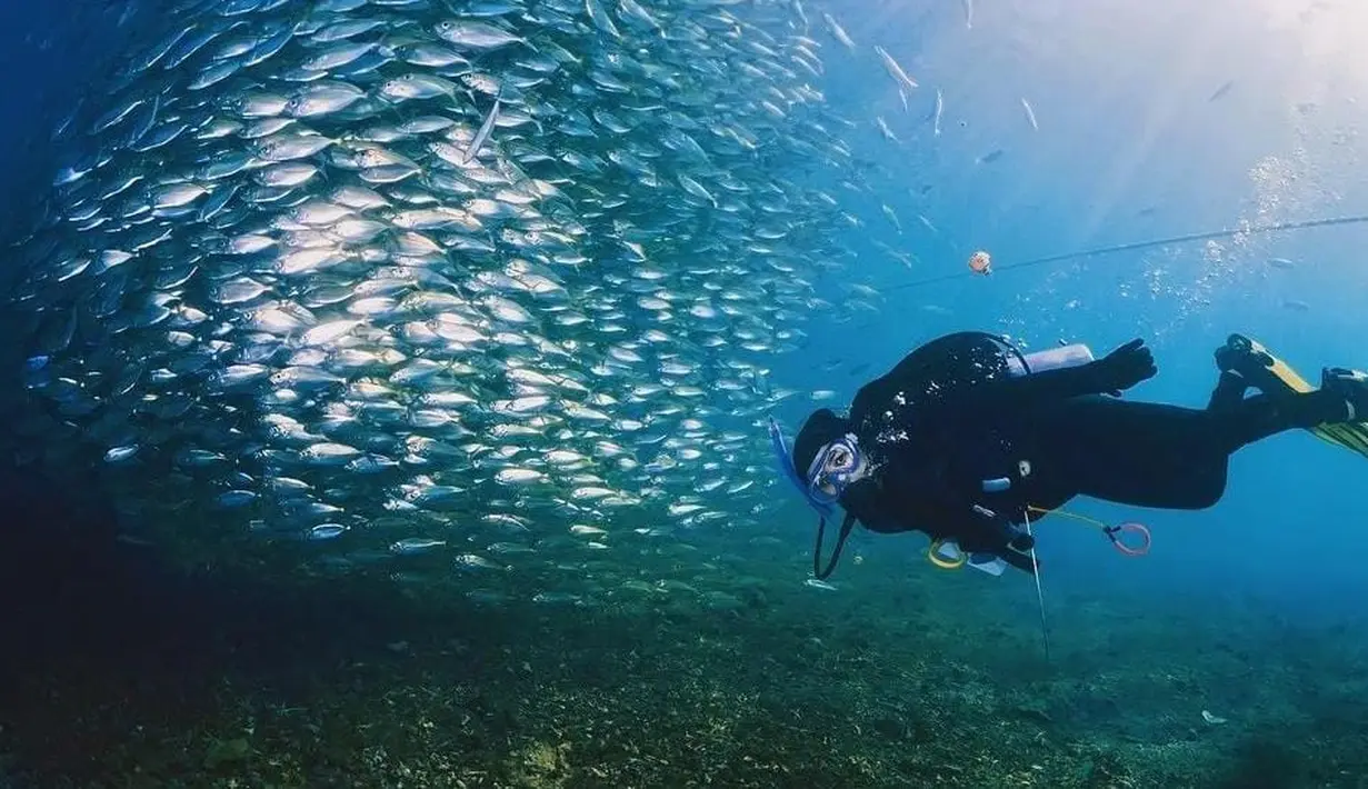 Tak sembarangan menyelam, Prilly Latuconsina mengenakan alat-alat keselamatan untuk menyelam di laut Ternate [instagram/prillylatuconsina96]