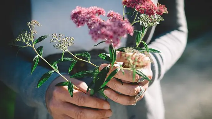 Ilustrasi./Copyright unsplash.com/thomas hafeneth