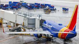 Sebuah pesawat Southwest Airlines terparkir pada salah satu terminal di Bandara Dallas Love Field, Texas, Amerika Serikat, 1 Februari 2023. Dallas dan bagian lain Texas Utara berada di bawah peringatan badai musim dingin hingga Kamis. (Smiley N. Pool/The Dallas Morning News via AP)