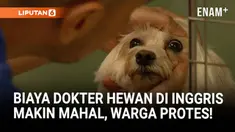 Biaya perawatan hewan peliharaan di Inggris kian melangit, membuat banyak pemilik hewan peliharaan kesulitan membayar pengobatan. Otoritas Persaingan dan Pasar (CMA) menyerukan transparansi harga dan pengawasan lebih ketat terhadap praktik dokter hew...