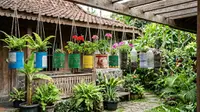 10 Ide Pot Tanaman Gantung dari Barang Bekas yang Mudah Dibuat, Hemat Biaya