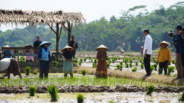 Kementan