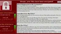 Serangan ransomware WannaCry berawal dari bocornya alat peretas milik Badan Keamanan Nasional di Amerika Serikat. (Liputan 6 SCTV)