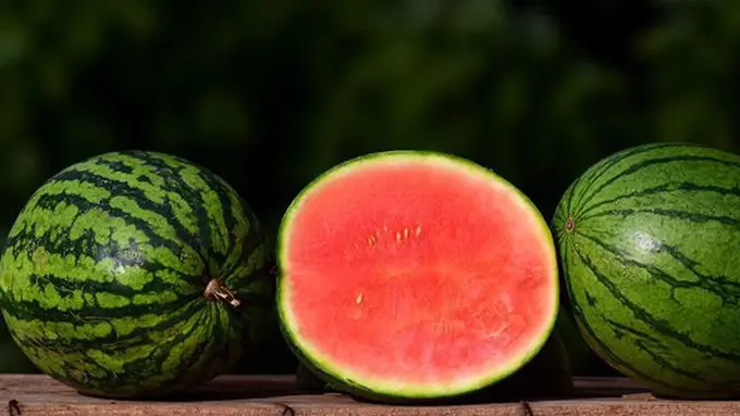 Ini waktu lama menyimpan semangka di rumah/copyright Pixabay.com