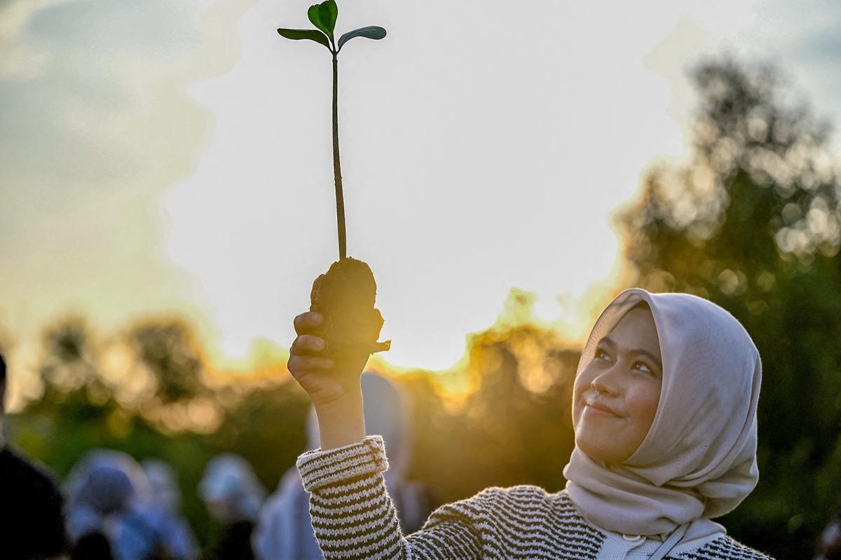 FOTO: Anak Muda Aceh Tanam Mangrove untuk Perkuat Ekosistem Pesisir