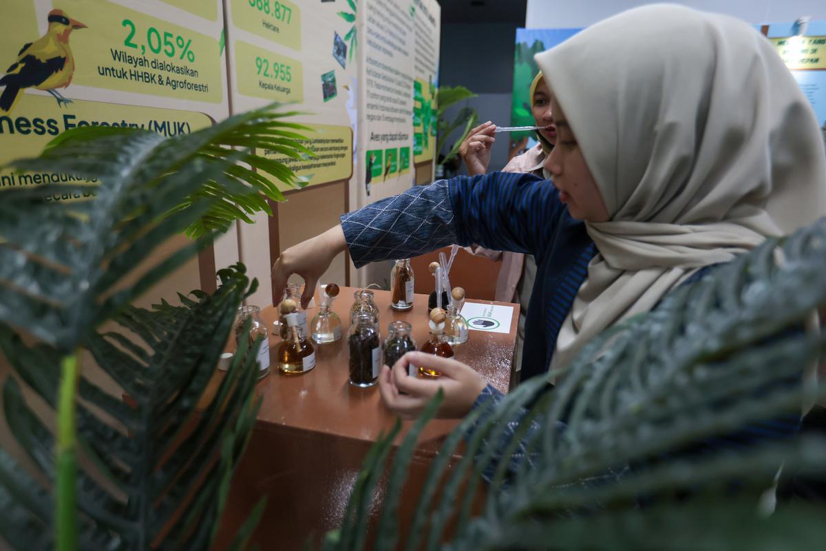 Mengenal Kekayaan Hutan Lewat Pameran Gratis di Stasiun MRT Bundaran HI