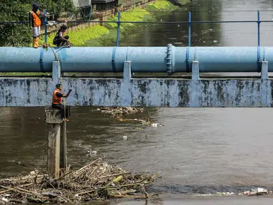 Petugas PPSU membersihkan sampah yang tersangkut di tengah derasnya aliran Kali Ciliwung, Jakarta, Rabu (19/5/2021). Pembersihan tersebut dimaksudkan agar tidak ada penumpukan sampah dan sedimentasi saluran di sepanjang Kali Ciliwung. (Liputan6.com/Faizal Fanani)